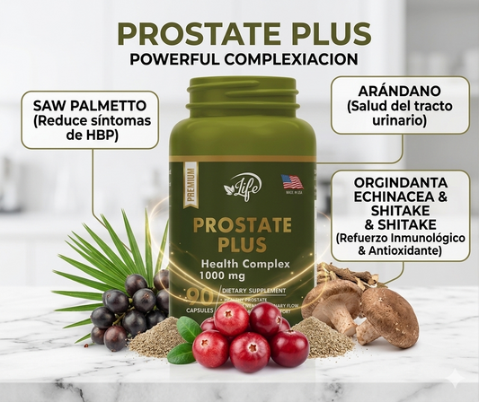 PROSTE PLUSS